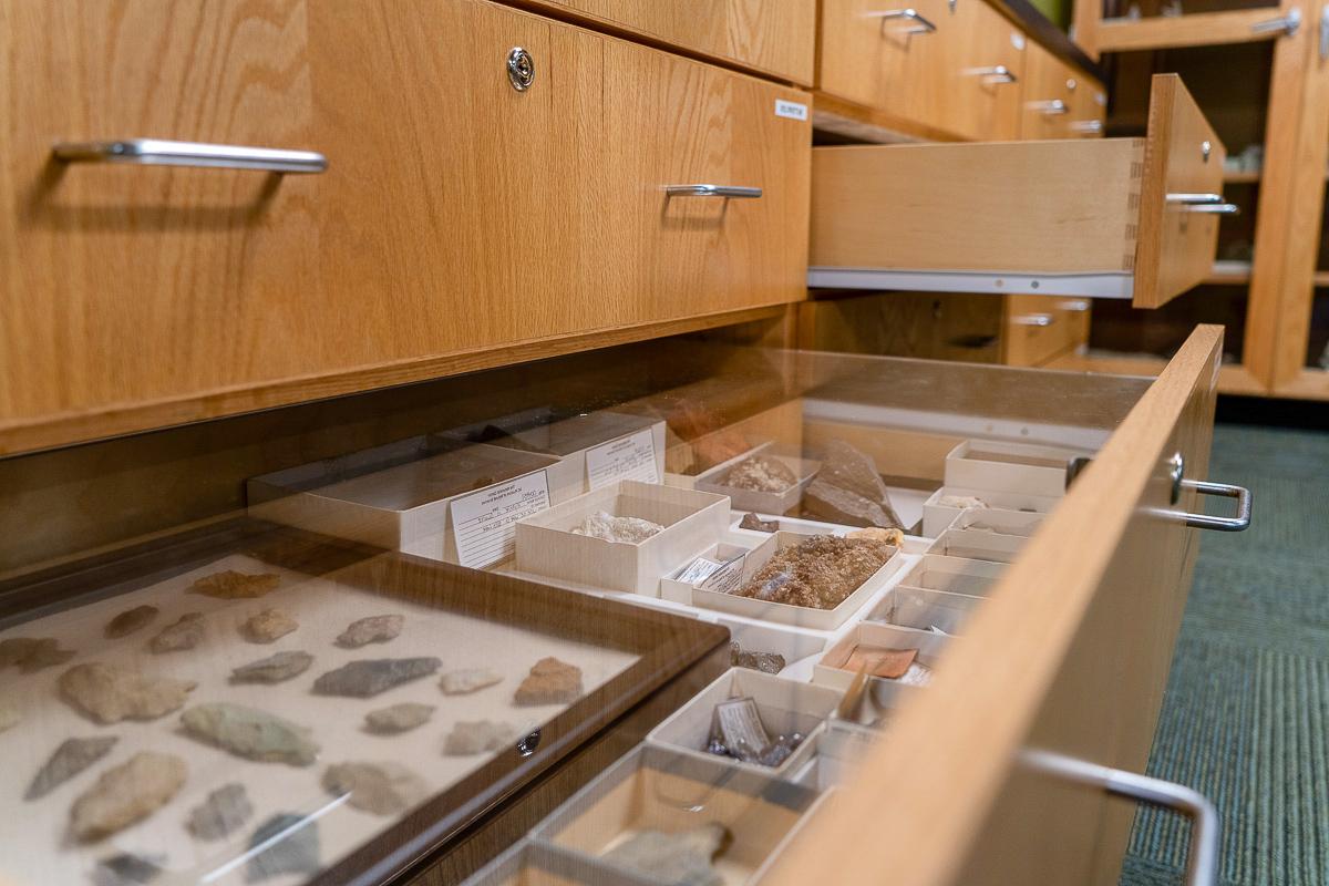 Open drawer in the Naturalist Center at NCMNS Whiteville.